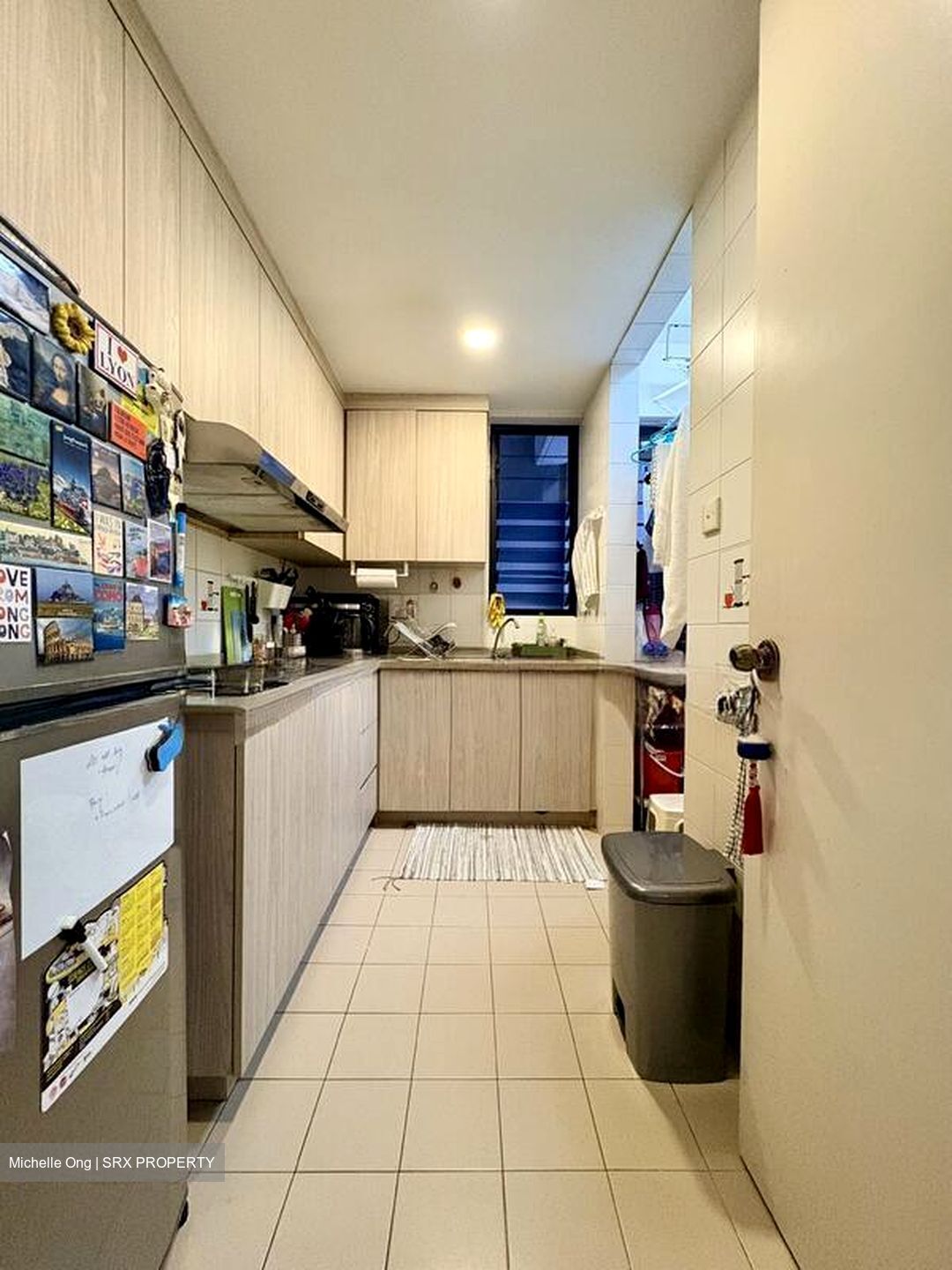 Central Green Condominium (D3), Condominium #512663181
